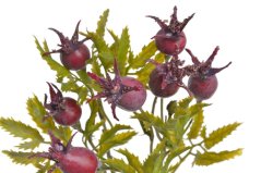 Umělá větev divoké růže dl. 48cm