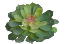 Umělý sukulent zelený 26 cm