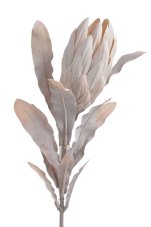 Umělá kvetoucí protea na stonku s listy, květ 11cm/dl.70cm