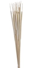 Přírodní bělený materiál hogla medium vyb. dl. 70cm - 25ks