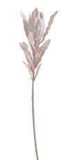 Umělá kvetoucí protea na stonku s listy, květ 11cm/dl.70cm