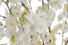 sakura stromek v květináči 140cm