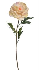Květ rozkvetlé pivoňky na dlouhém stonku dl. 96cm_5397