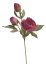 Umělá pivoňka na stonku s listy a poupaty, květ Ø 9 cm, dl. 55cm
