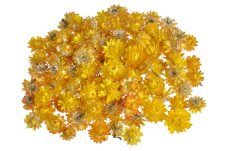 Sušený květ slaměnky – hlavičky cca 3 cm, 50 g