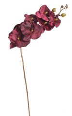 Lata umělé kvetoucí orchideje se zlacenými středy květ 11 cm, dl. 82 cm