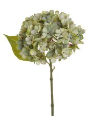 Květ hortenzie na stonku s listy - květ Ø 14 cm, dl. 33 cm