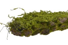 Kompozice přírodní kůra s proutím a umělým mechem dl. 47cm