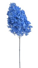 Stabilizovaná hortenzie latnatá modrá 18–24 cm – přírodní květ