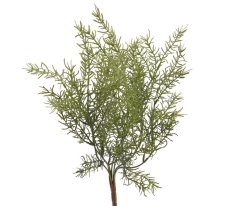 Umělý Asparágus, dl. 43 cm, barva 06