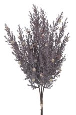 Cypřiš 50 cm, 3 větvičky