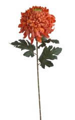 Chryzantéma na stonku s listy, 73 cm