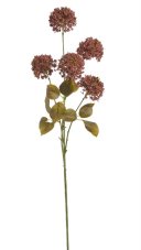 Dekorace umělý kvetoucí česnek 5 květů,  květ Ø 7cm, dl.celkem 75cm - zápich