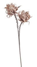 Umělý květ protea světle hnědá 95 cm