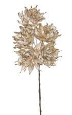 Přírodní dekorace Shola spike flower 6cm - 6ks