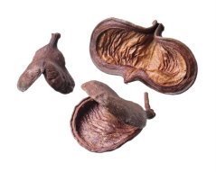 Přírodní dekorace badam nat 8-10cm - 10ks