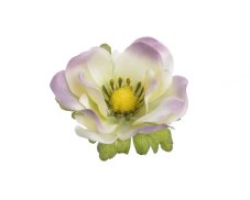 Hlavička umělé anemone - sasanky, hlavička Ø 6cm - 12ks