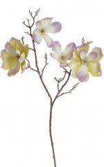 209CAN4006PT_20 magnolie 84cm