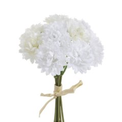 81CAN15737 kytice astra - bílá/cream