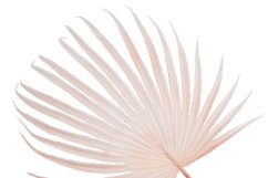 Umělý barvený list palmy vel. 57cm