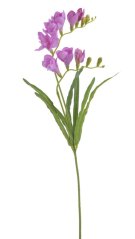 Umělé kvetoucí frézie dl. 60cm