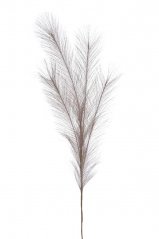 Umělá pampová tráva, 54 cm, barva 04