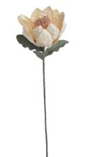 Umělý květ magnólie krémový 80 cm