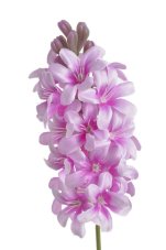 Umělý kvetoucí hyacint, květ dl.16cm, dl. celkem 50cm
