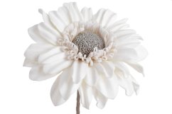 Umělá květina z pěny, květ Ø 22cm, dl. 78cm