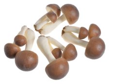 Trojice houbiček 4 x 3 ks, 5,5 cm a 7,5 cm a 9,5 cm - hnědé LT11086_06