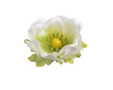 Hlavička umělé anemone - sasanky, hlavička Ø 6cm - 12ks