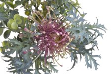 Kytice různých druhů travin s květem Leucospermum, dl. 38cm