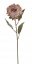 Umělý květ protea na stonku, květ 10cm/dl.72cm