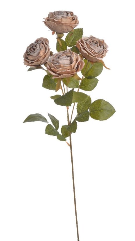 Umělá usušená růže na stonku 4 květy  s listy,  hlavičky Ø 8cm, dl.64 cm