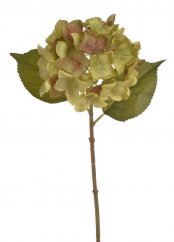 Květ hortenzie na stonku s listy - květ Ø 14 cm, dl. 36 cm