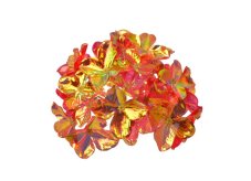 Opalizující hlava hortenzie 15 cm
