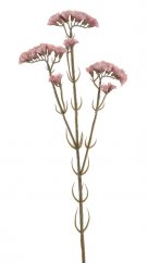 Podzimní květina umělá kvetoucí statice dl. 62cm