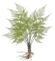 Trs umělého kapradí s kořenovým balem dl. 53cm