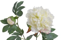 Umělá pivoňka s květem a poupětem, květ Ø13cm/dl.70cm