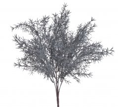 Asparágus, 36 cm, 7 větviček, barva_158