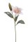 Umělá květina lilie 1 květ Ø 15cm +1 poupě , dl. 53cm