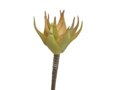 Umělá mini aloe dl. 16cm