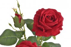 Umělá rozkvetlá velvetová růže tři květy s poupětem, květ Ø 9cm/dl.105 cm