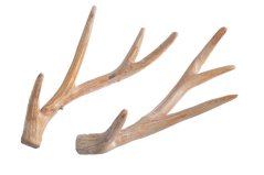 Vánoční dekorace umělé parohy dl. 22cm