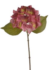 Květ hortenzie na stonku s listy - květ Ø 14 cm, dl. 36 cm