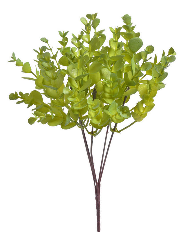 Eukalyptus 5 větviček, 34 cm, barva - 01