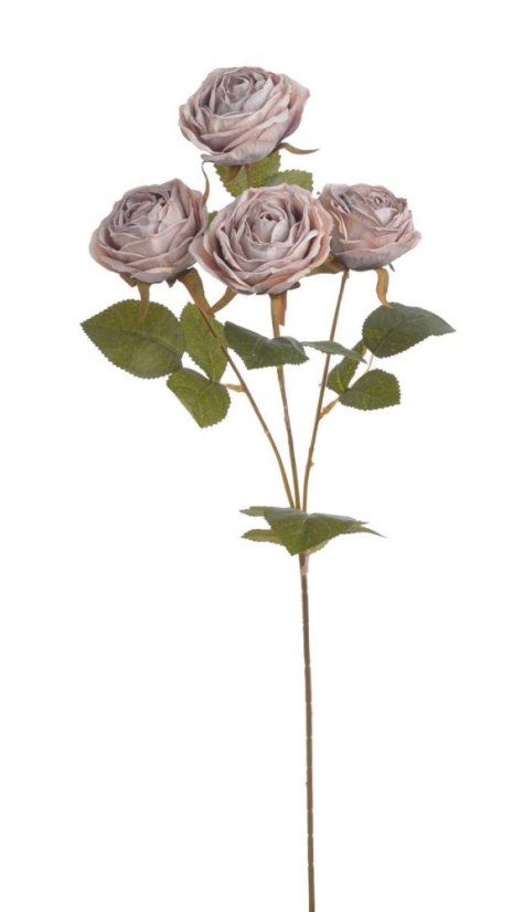 Umělá usušená růže na stonku 4 květy  s listy,  hlavičky Ø 8cm, dl.64 cm