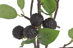 Dekorace umělá větev s ostružinami, ostružina Ø 2,5cm, celkem dl. 103cm