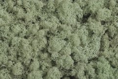 Preparovaný mech island moss 500g GREY GREEN Z141