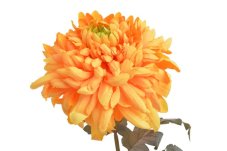 Umělá chryzantéma 73 cm